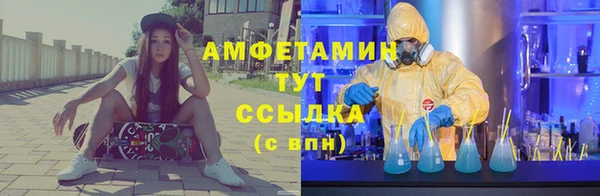 дурь Каменка