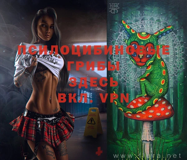 мет Инсар