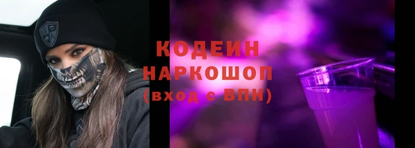 дурь Каменка