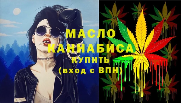 МДПВ Каменногорск