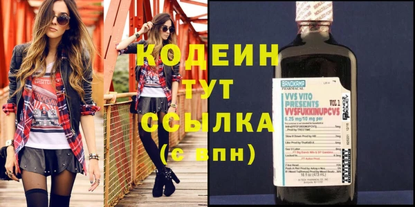 дурь Каменка
