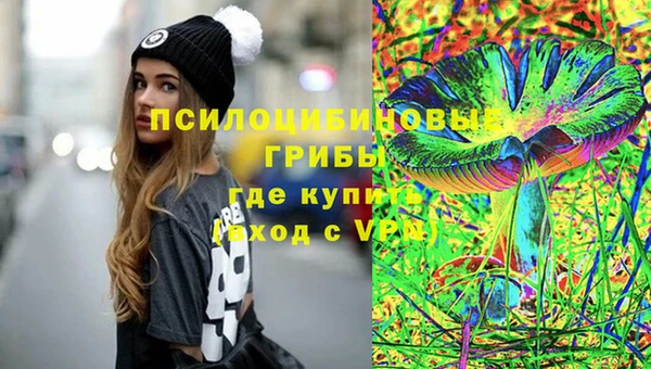 дурь Каменка
