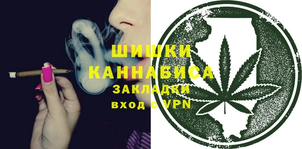 дурь Каменка