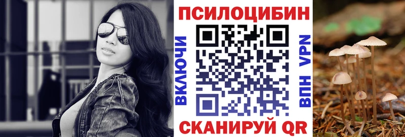 Псилоцибиновые грибы Psilocybine cubensis  Ковдор 