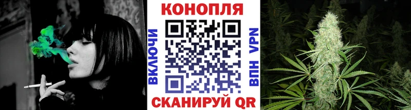 наркота  Ковдор  Каннабис марихуана 